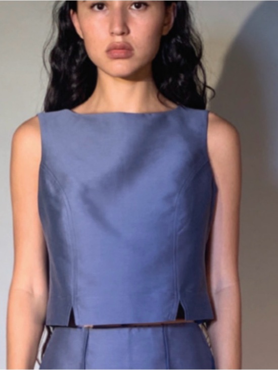Chelsea Mak Tops - Chelsea Mak silk blend Sleeveless Blue Crop Top - Modern Minimal size small